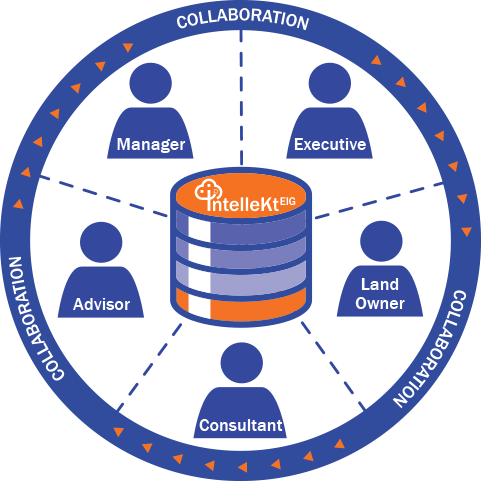 Collaboration-Roles